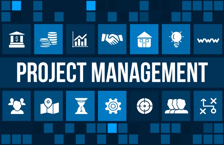 Program / Project Management